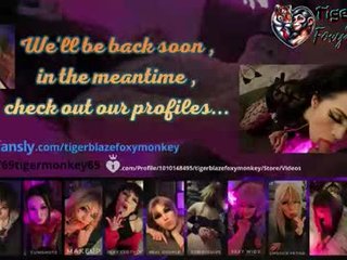 tigerblazefoxymonkey 