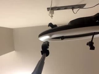 sylvialawrence cam girl gets her ass hard fucked by her partner