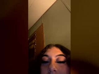 dazzlingkitten 