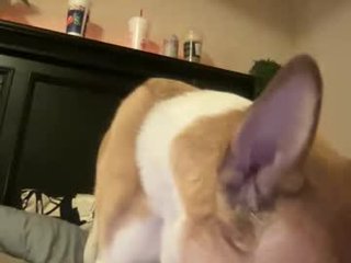 luvrxstarx domina cam girl loves dirty live sex in the chatroom