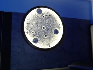 agathe_caius cumshow with beautiful webcam couple online